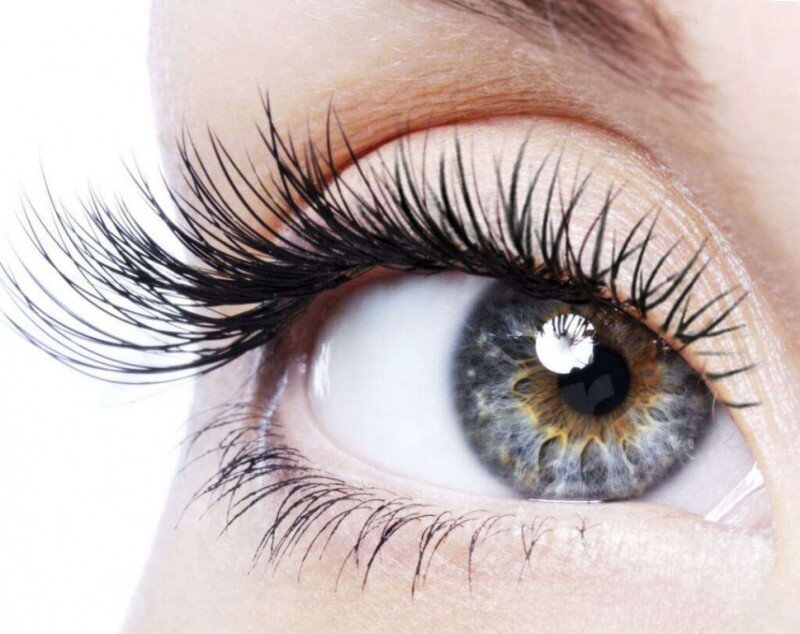 сертификат наращивание ресниц. сертификат по моделированию бровей. сертификат бровиста. бесплатный курс бровиста с выдачей сертификата. бесплатный курс бровиста с выдачей сертификата.