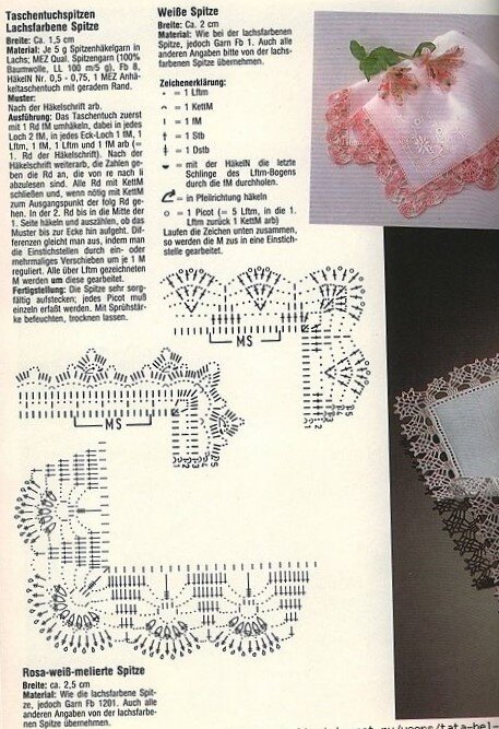 Фото из интернет ресурсов свободного доступа.