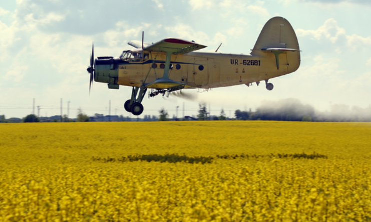 Фото с Яндекса