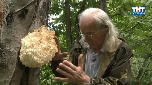 Наедине с природой. Ежевик коралловидный | 2013