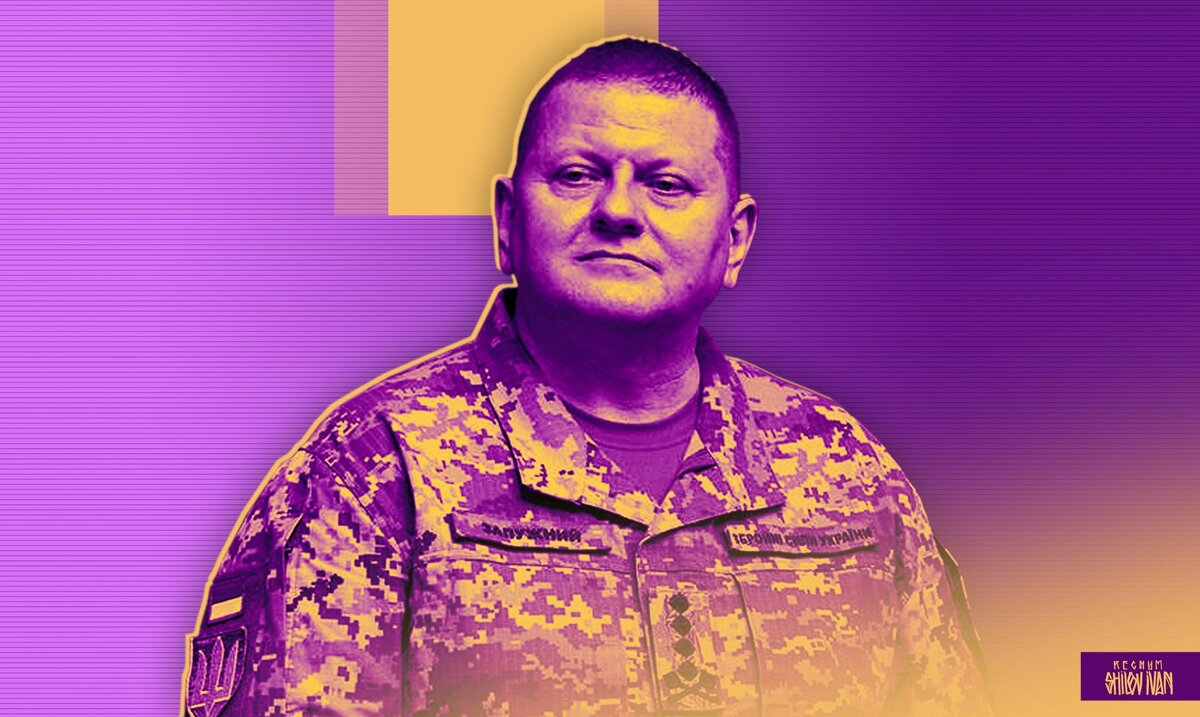    Валерий Залужный Иван Шилов (с) ИА REGNUM