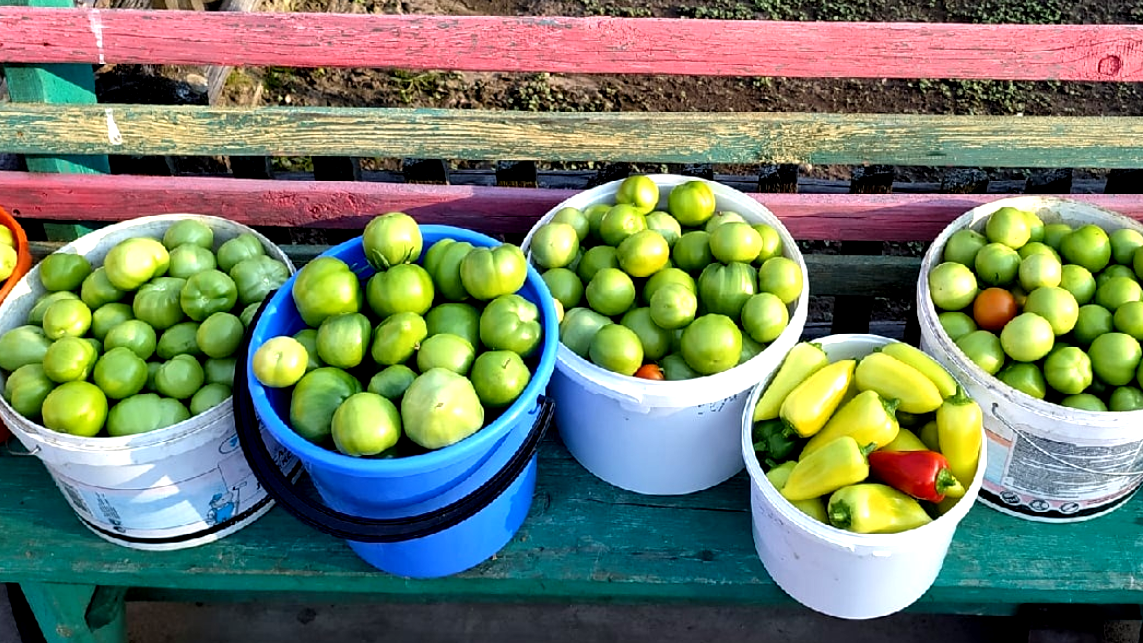 Собственный урожай