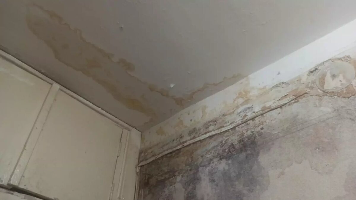     Жители девятиэтажки №11 по улице Николая Отрады в Тракторозаводском районе Волгограда уже третью неделю терпят «потоп» в квартире из-за бездействия управкомпании, сообщает издание «НовостиВолгограда.ру».