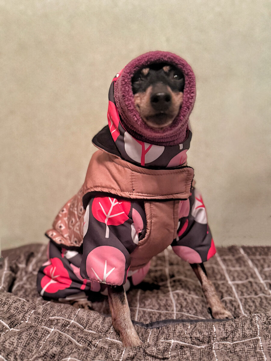 Норка идет какать в суровую февральскую ночь! 