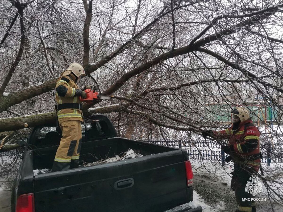 В Волгодонске из-за сильного ветра ветки упали на автомобили | Новости  Ростова и области | Дзен