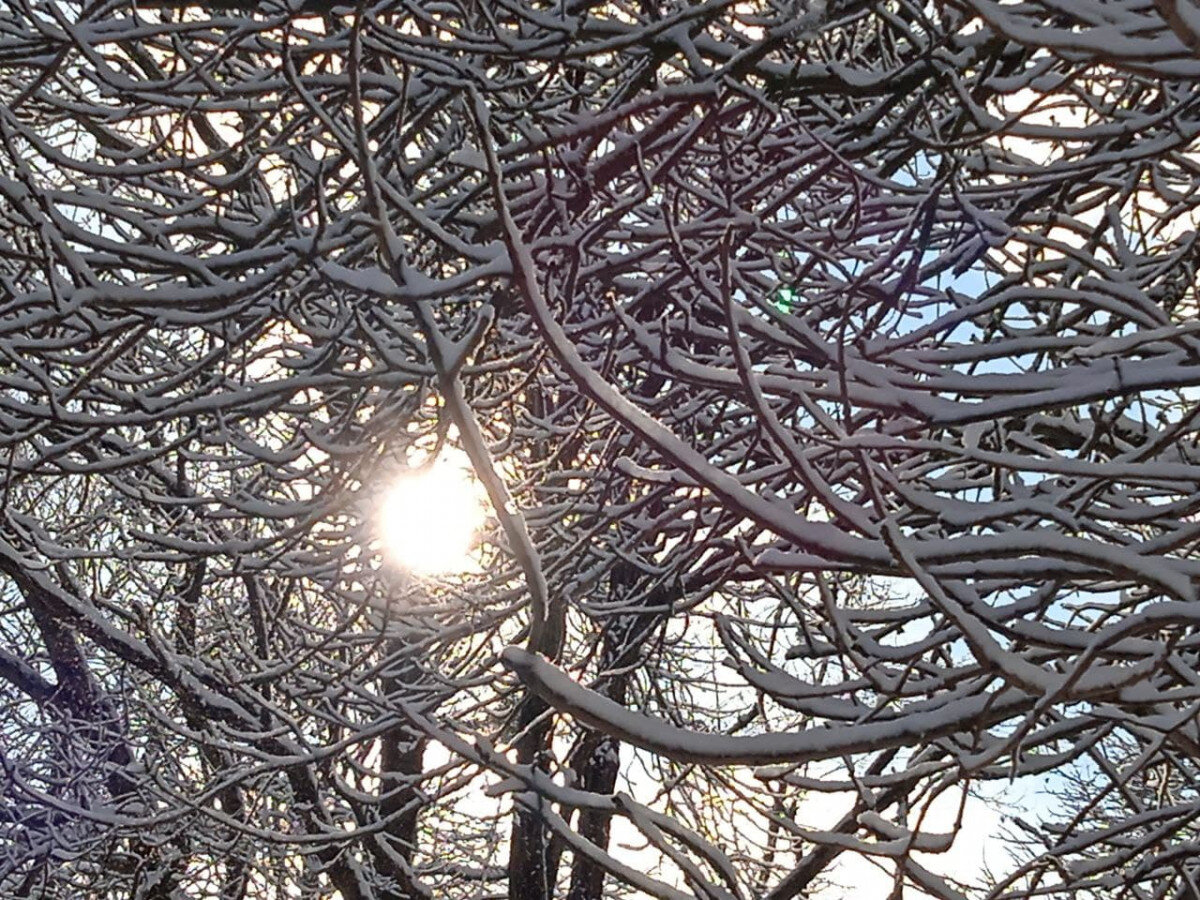   ГТРК "Ставрополье"