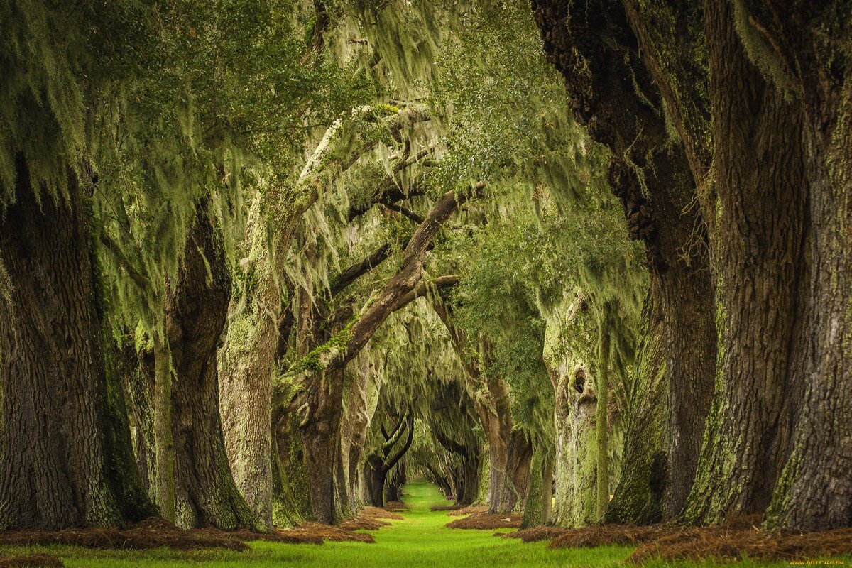 На самом деле выглядел не так гостеприимно. 