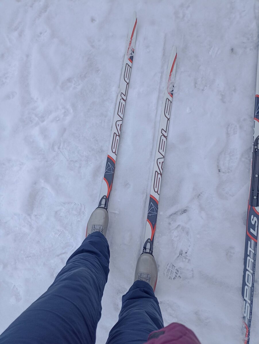 Готовы к забегу