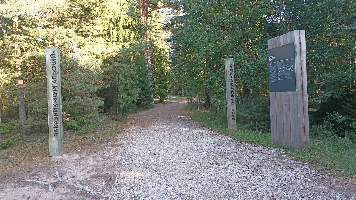Экологический маршрут в Кургальском заказнике (Ленинградская область)