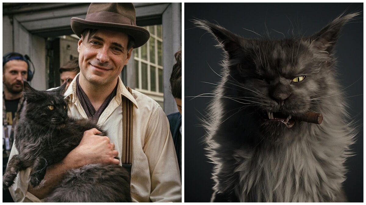 Табби макрель. Кавказский камышовый кот. Калифорнийская сияющая бенгальская кошка. Каком коте. Саванна и мейн кун.