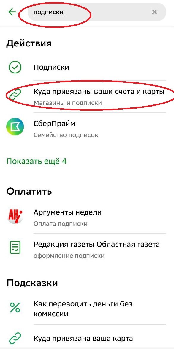Источник: фото автора