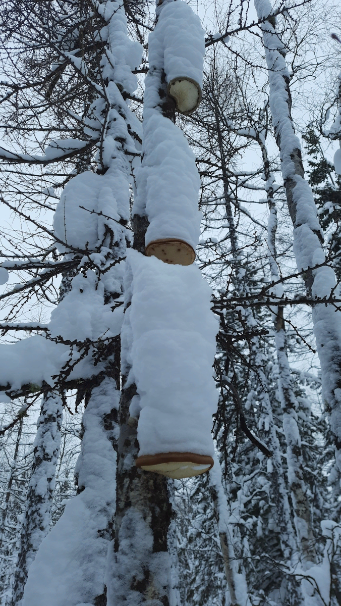 нет, нам не холодно. просто всё как-то навалилось...