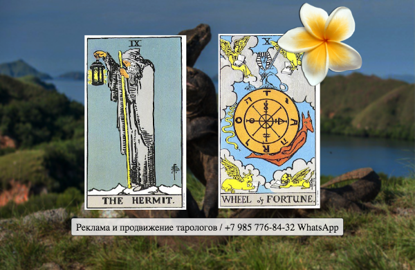 балабол колесо фортуны