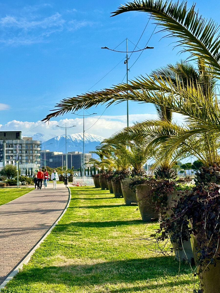 Вы во сколько придете. Инфографика количество людей. Во сколько сможешь. Во сколько нужно лечь спа. Восколькотнужно ложиться спать.