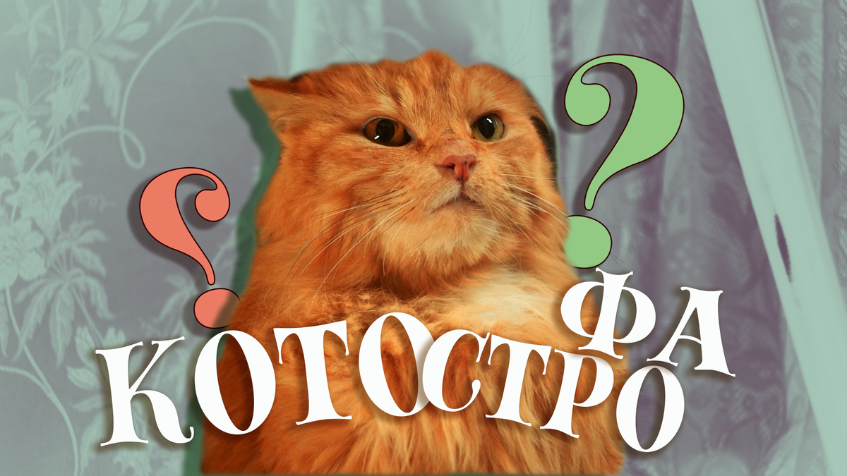 А точно проделки кота - главная боль?..  