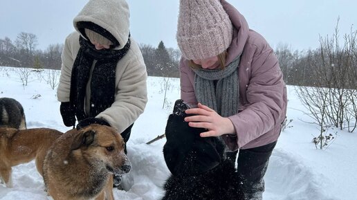 Детям обязательно нужно брать собаку, если они этого хотят