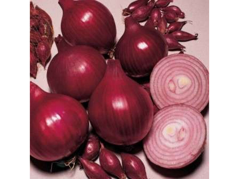 адидас harden. Nike 1 low. Nike air jordan 1 high. Nike air jordan 1 retro. телефон fly ezzy trendy 3.