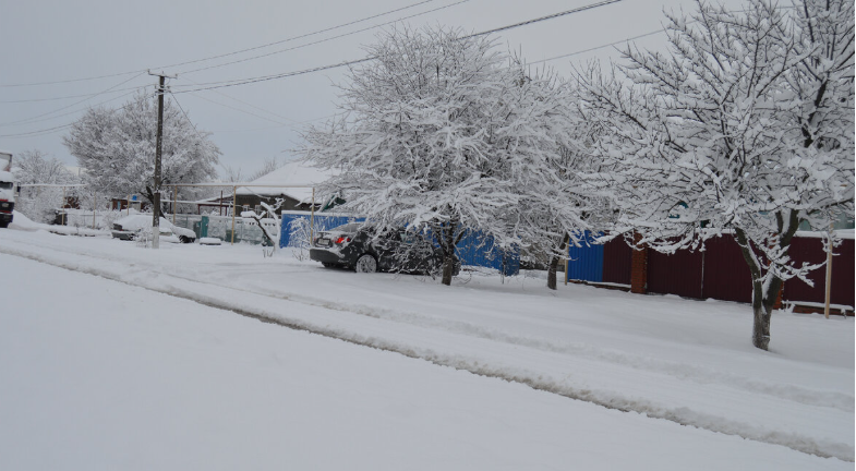 Фото автора. Кубань начало 2023. Бывают и на Кубани снежные заносы.