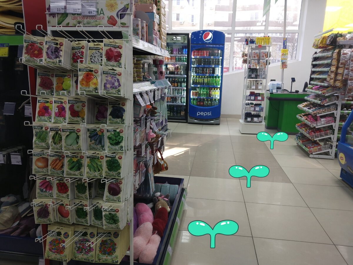 Фото автора публикации