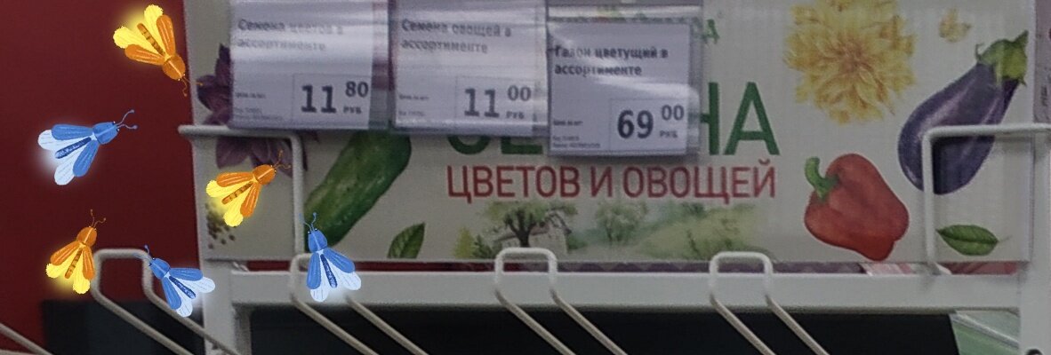 Фото автора публикации