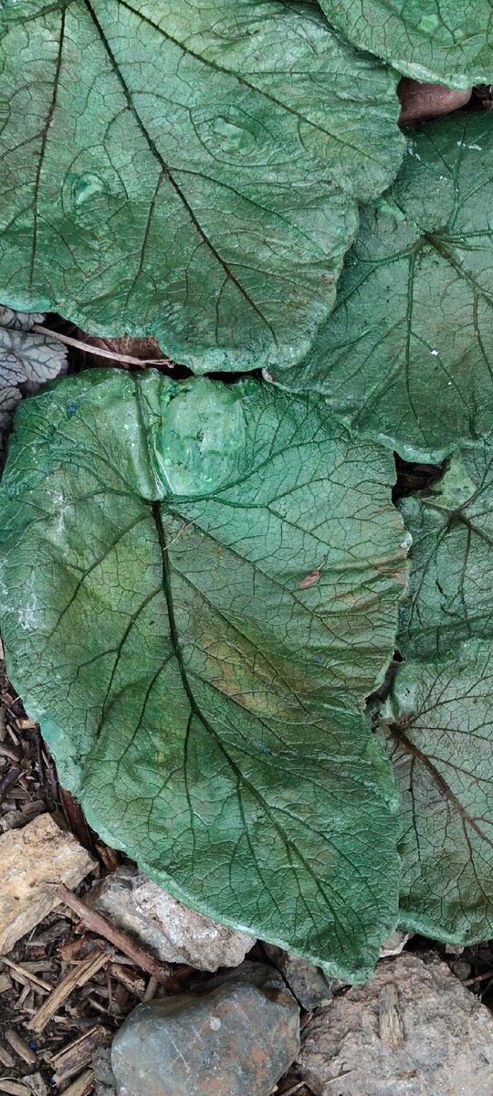 2. В галерее 3 фото, листайте