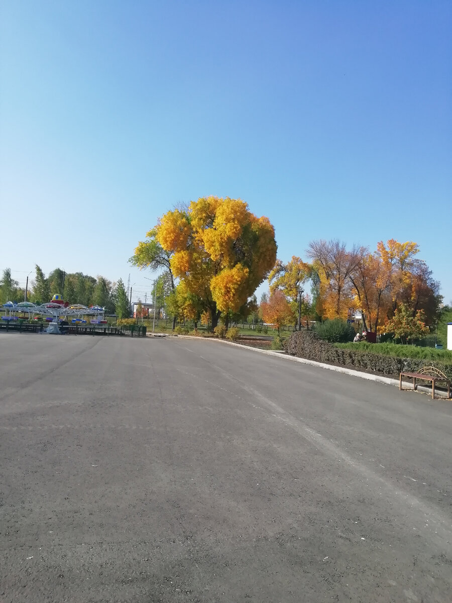 Это просто дерево, но мне очень сильно кажется, что - это Шекспир