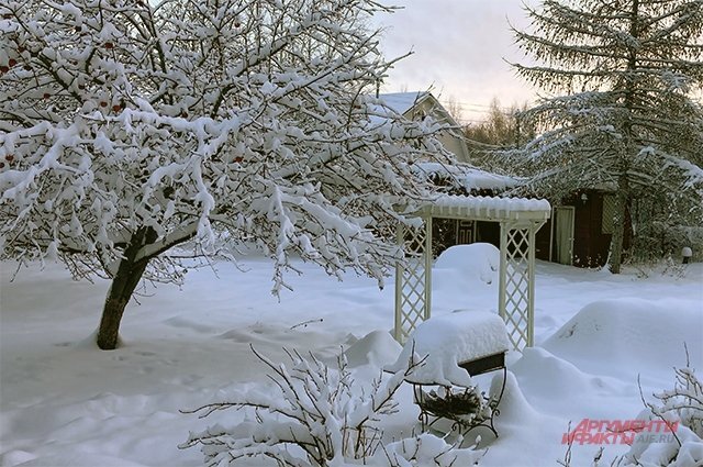    Надо ли в этом году организовывать дополнительное снегозадержание на даче?