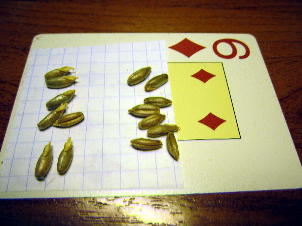 Фото 1.  Вода из микроволновки.