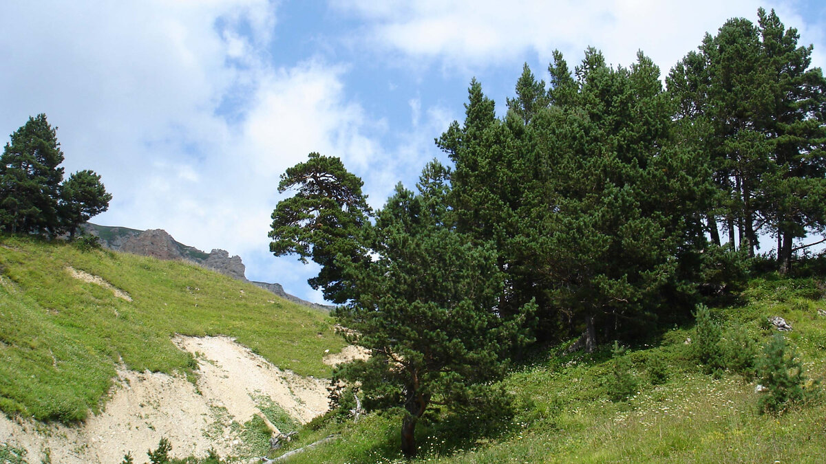 Гори в раю. Ад & рай. Человек в горах. Адский огонь. Лысак художник картины.