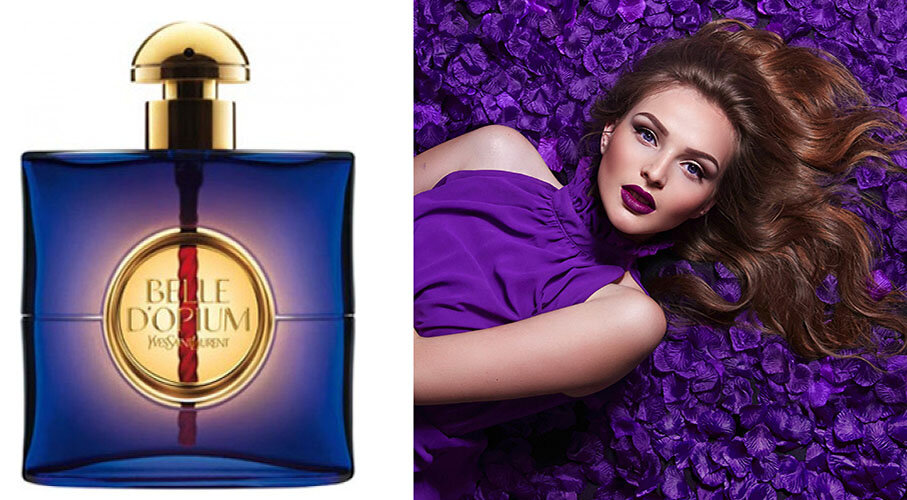 Коллекция это определение. Фонотека марата 2 санкт-петербург. Фотографии всех предметов. Упорядоченные коллекции. Минералы и камни в интерьере.