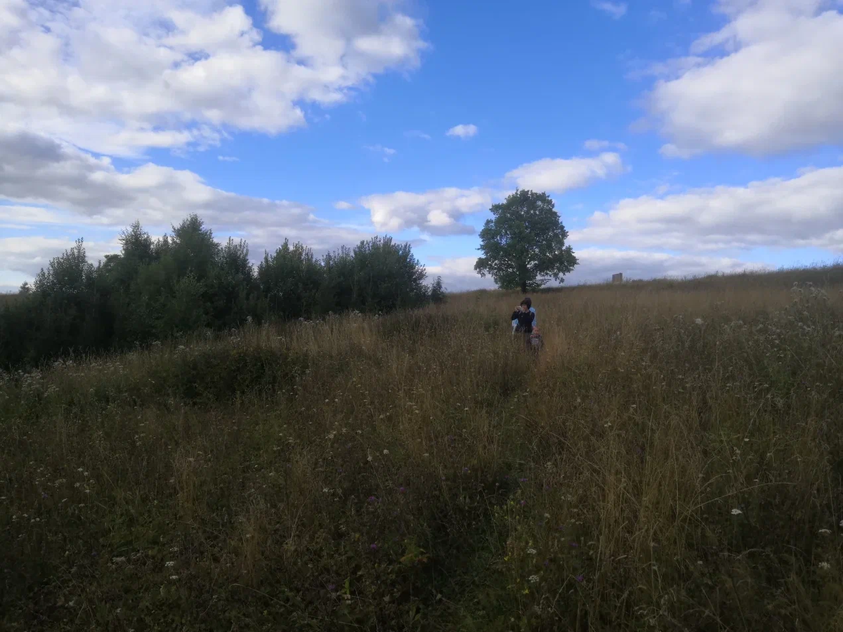 При всей поправке на плохую камеру, объяснить нефотогеничность места легко: каждый фрагмент пейзажа вроде бы может существовать в реальности, а все вместе как будто не должно!