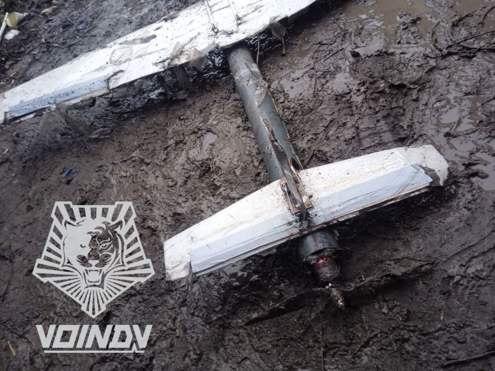 Сколько раз будет выполняться цикл for i:. Попск элемента, равного 50. For i 0 to 10 do. Массив for. Downto в паскале.