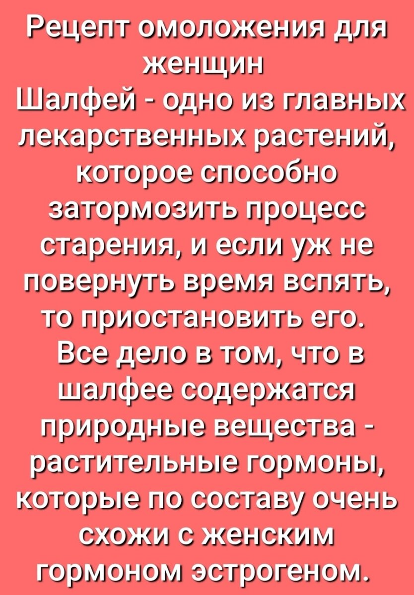 Ведьмёныш. Встреча. Про хрупкий мир, про злость и про уговоры | Ведьмины  подсказки. Мифы, фэнтези, мистика | Дзен