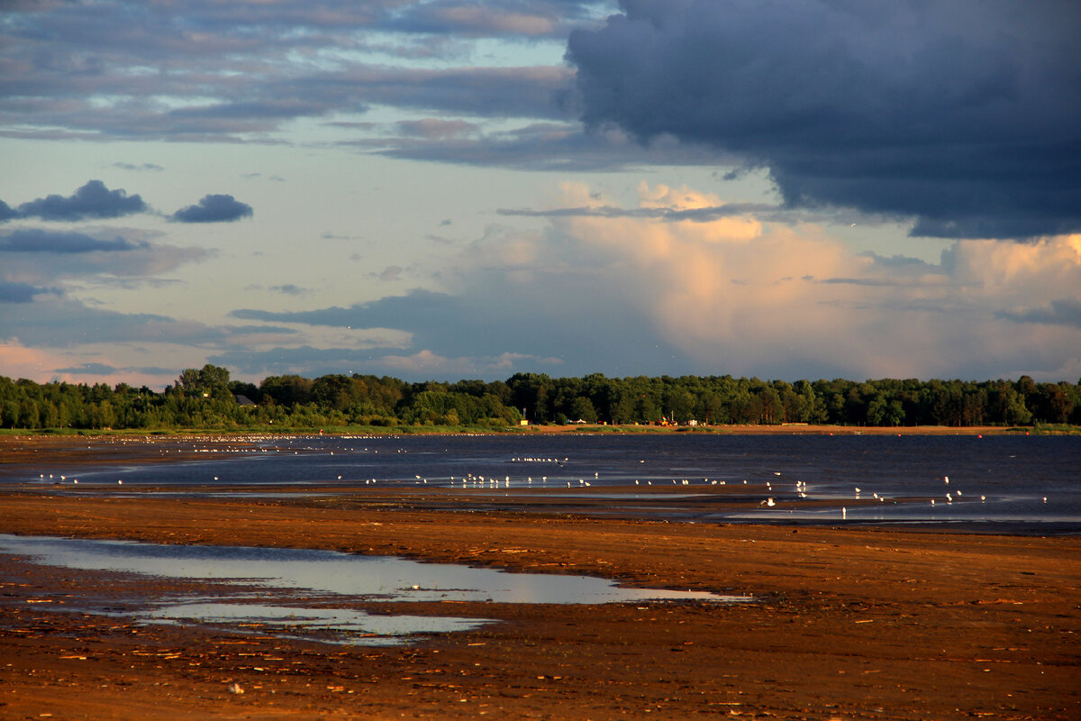 Домики, чайки - уютно