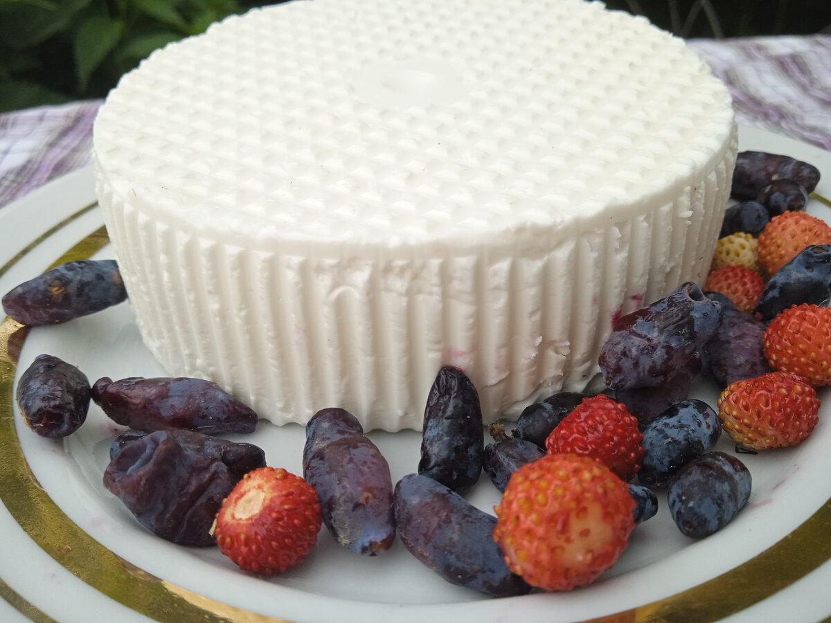 Козий сыр шевр с июньскими ягодами