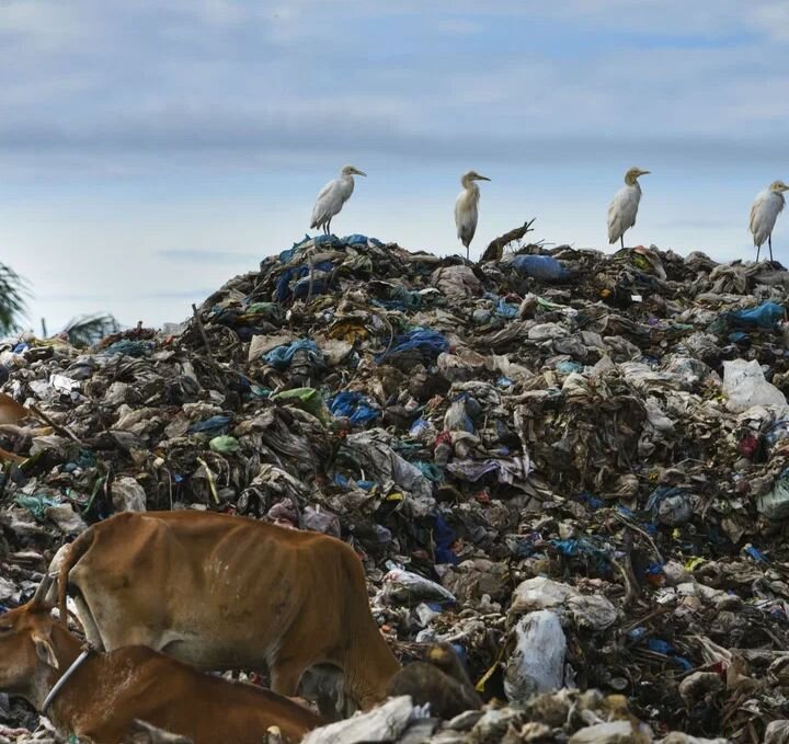 Изображение сделано в иллюстративных целях. Примерно так это всё и выглядело. 