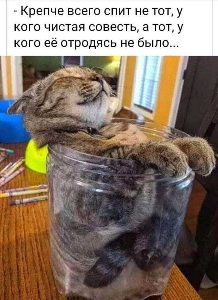 говорят понедельник день тяжелый. понедельник день тяжёлый вторник тоже. веселые цитаты про понедельник. понедельник день тяжелый вторник. смешные названия дней недели.