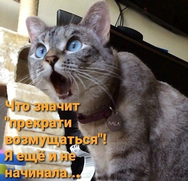 Раз посмейся. Посмеяться от души веселые картинки. Интересные факты о смехе для детей. Мистер бин в купальнике. Цитаты из тт.