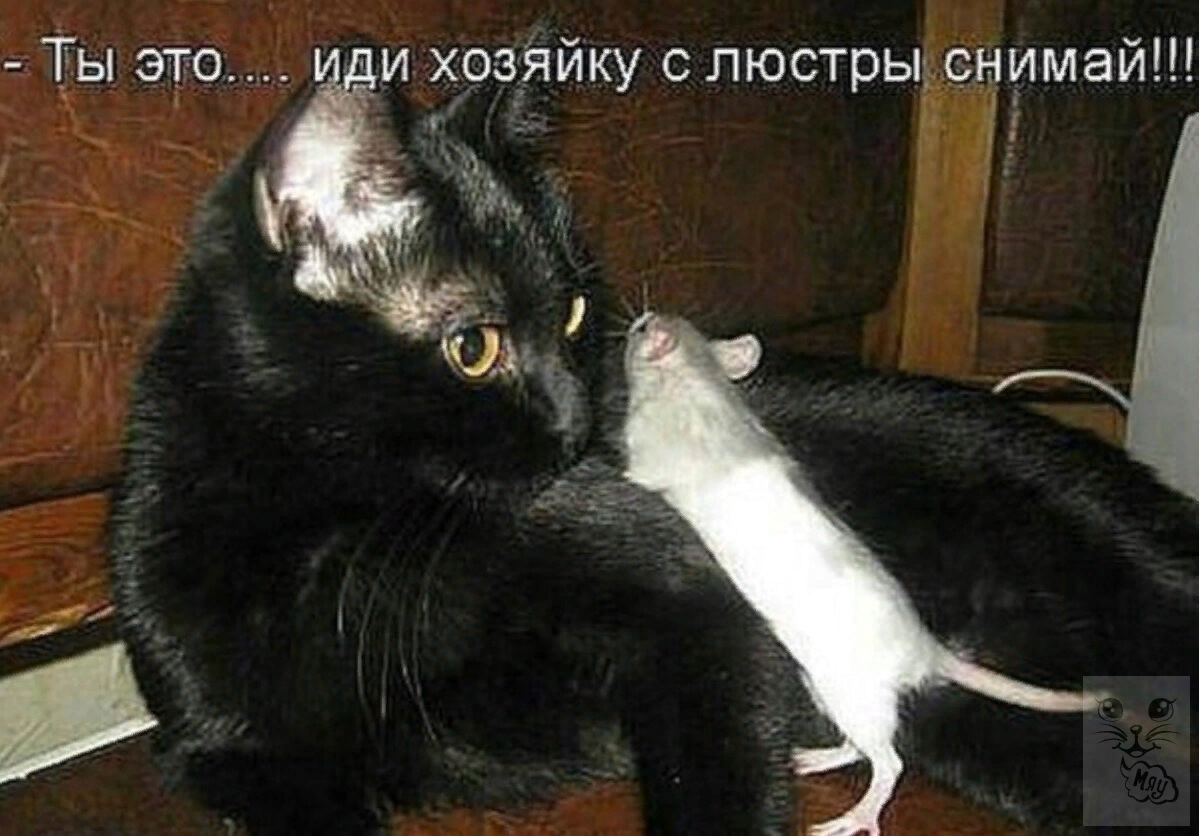 дом мультяшный. ул весёлая, д 2. веселые домики смешные. веселая дом 4. веселая дом 4.