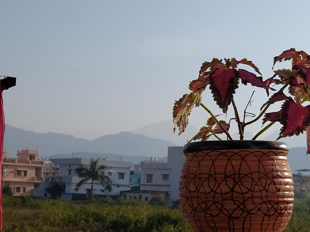 разбуди меня ночные снайперы. дети поют. девушка поет. женщина, которая поет. разбуди петь.