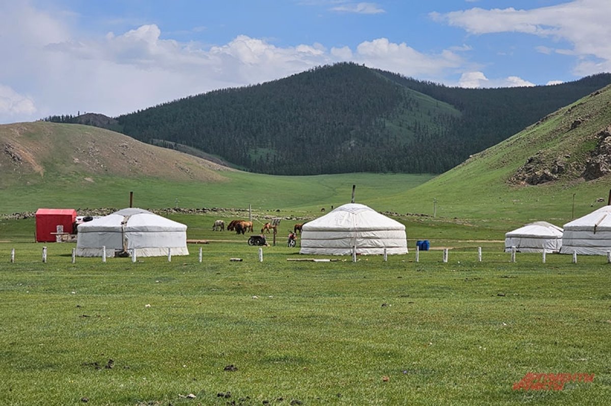    Стойбище кочевников появится этим летом на территории Аркаима