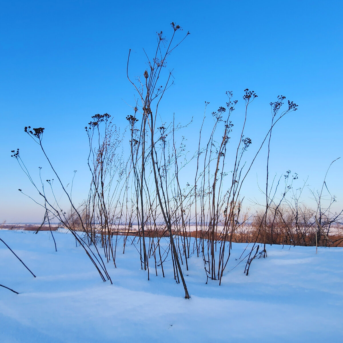 Прогрев двигателя автомобиля зимой. Как отогреть дом зимой. Разморозка водопроводных труб. Приспособления для разморозки водопроводных труб. Прогрев авто.