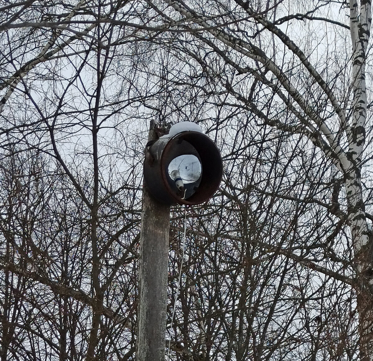 Фото автора: 05.02.24