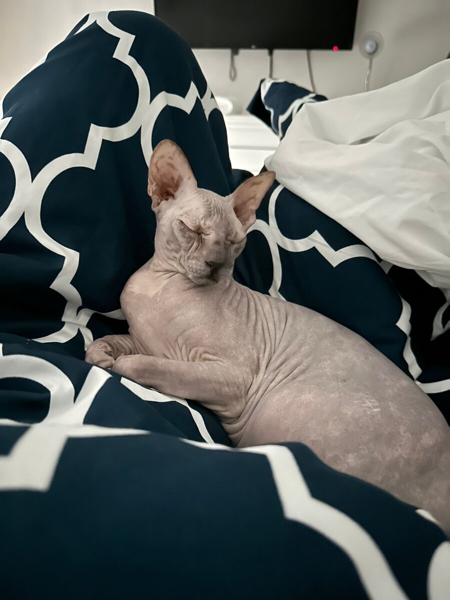 Дочкина Ева