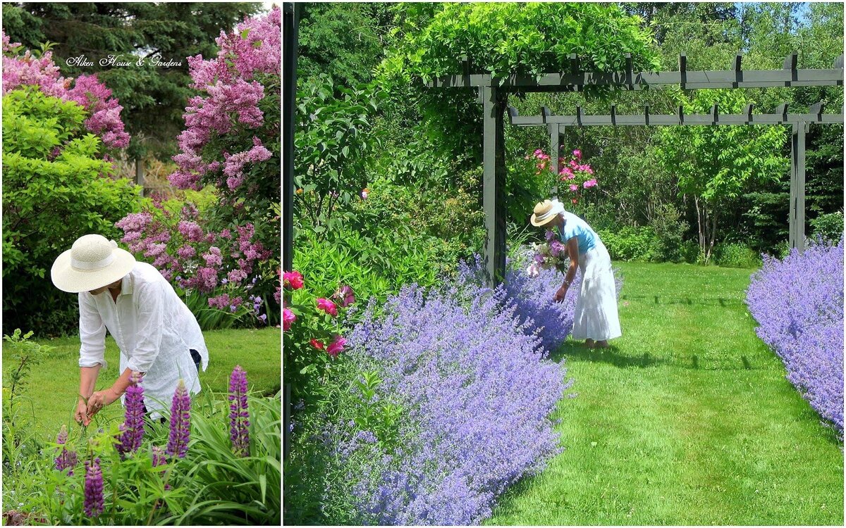 Садовод платья кыргызстан. Садовод платья женские больших размеров на свадьбу. Платья киргизия. Садовод 50. Одежда кыргызстан садовод женская.