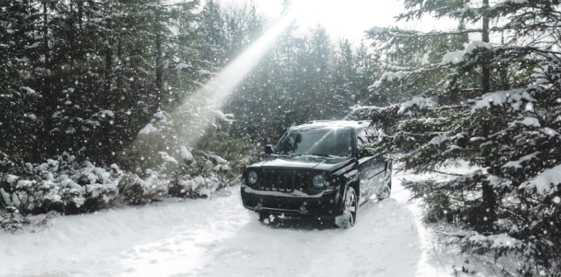 Полный привод позволяет доехать до труднодоступных мест  Фото : Shutterstock.com