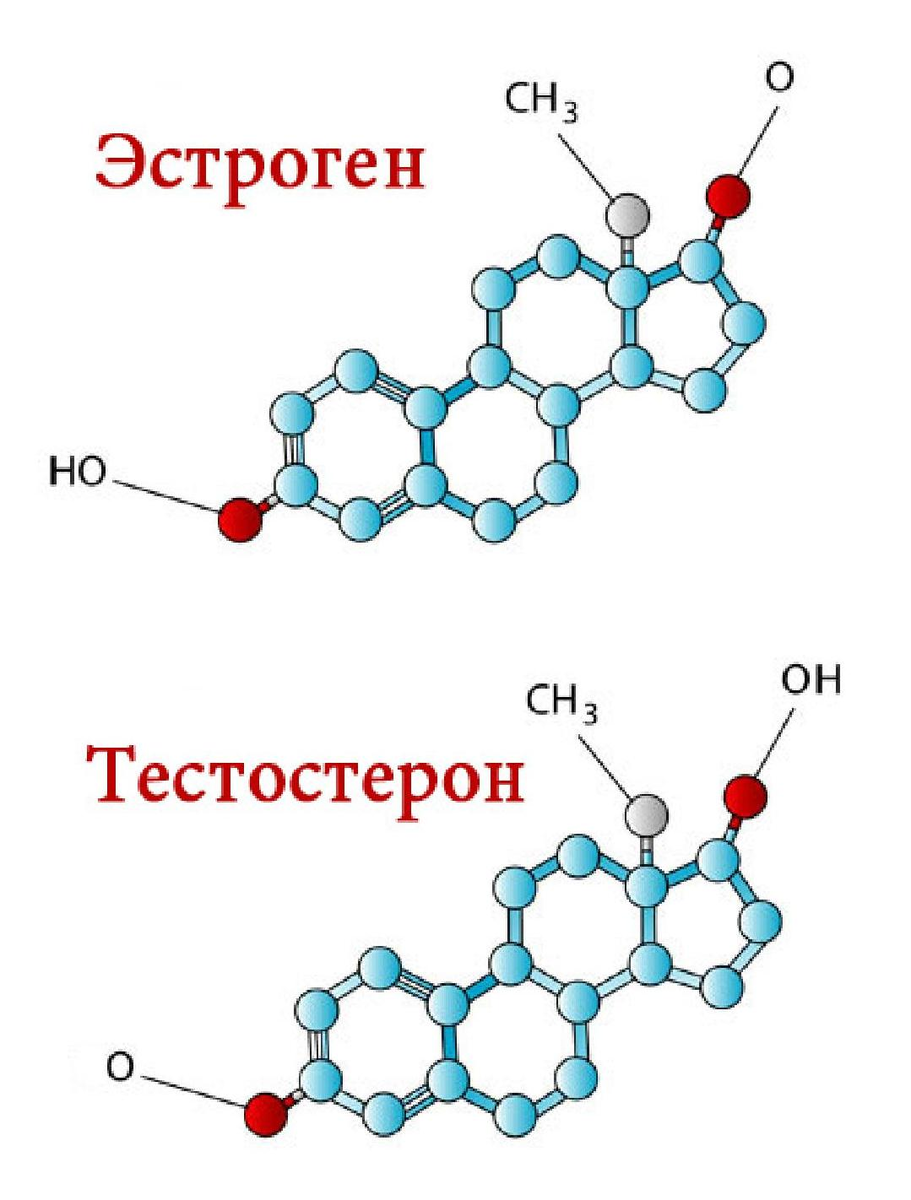 Тестостерон и эстроген. Молекула тестостерона. Тестостерон формула. Тестостерон строение. Мужские гормоны у женщин симптомы