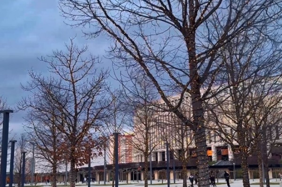    В парке Галицкого 12 февраля отключат праздничную иллюминацию