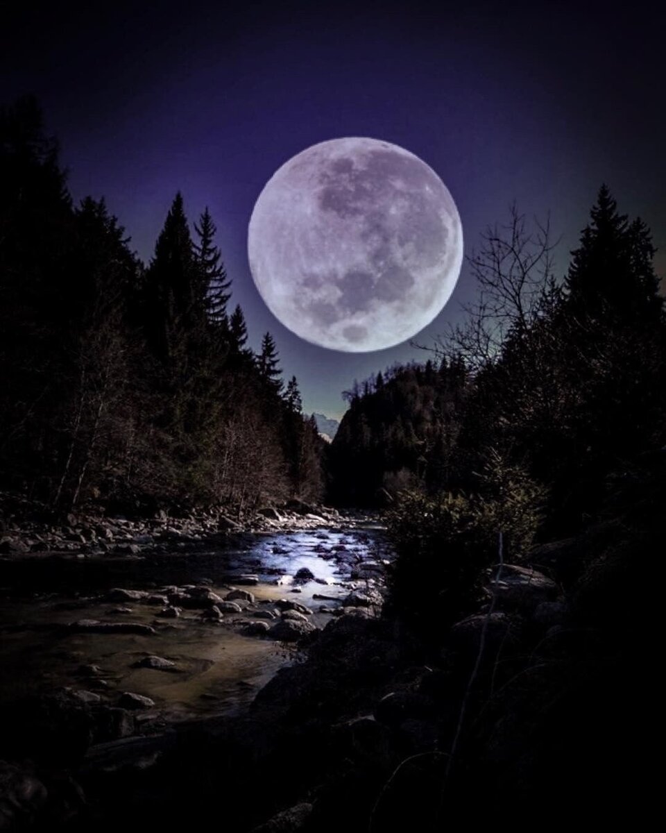 благоприятные дни для стрижки в январе. лунный календарь стрижек на сегодняшний день. календарь стрижек. календарь красоты и здоровья. календарь фазы луны на 2022 год.