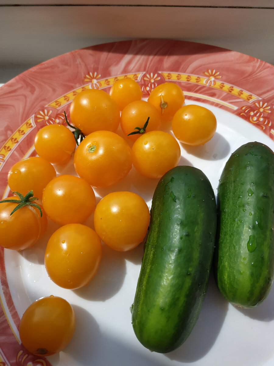 фото автора нектар из ромашек